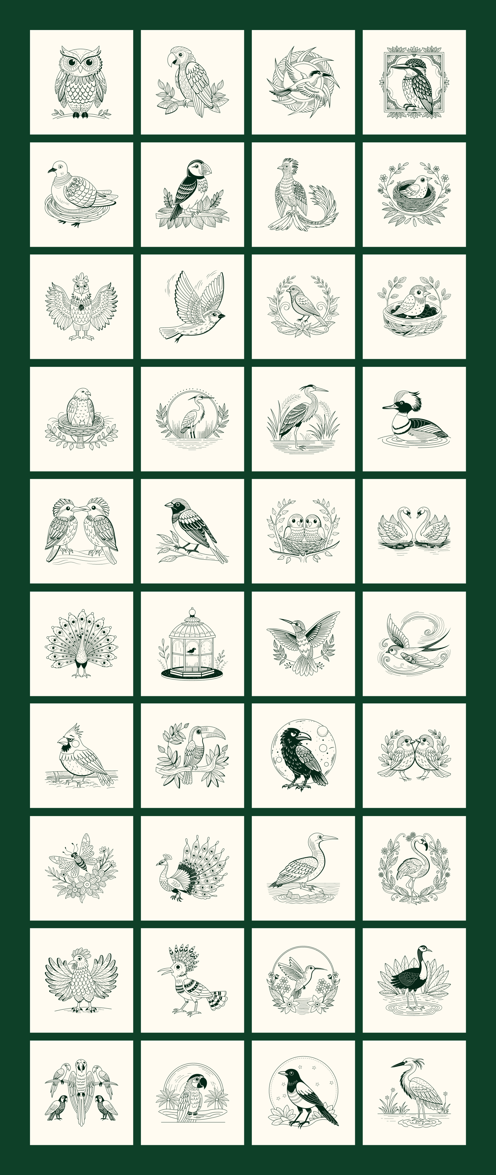 Vintage Nature Illustrations Bundle