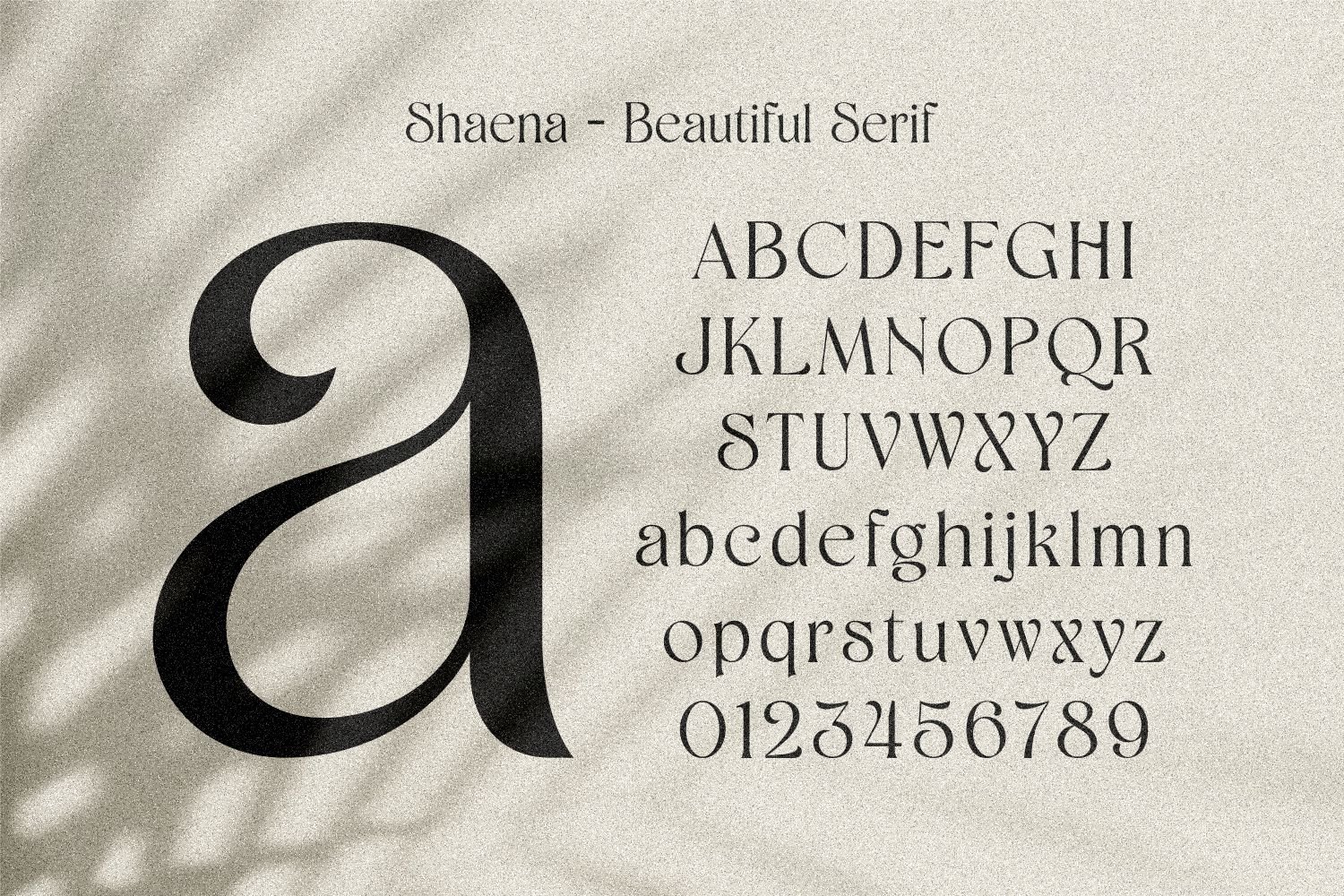 Shaena - Beautiful Serif