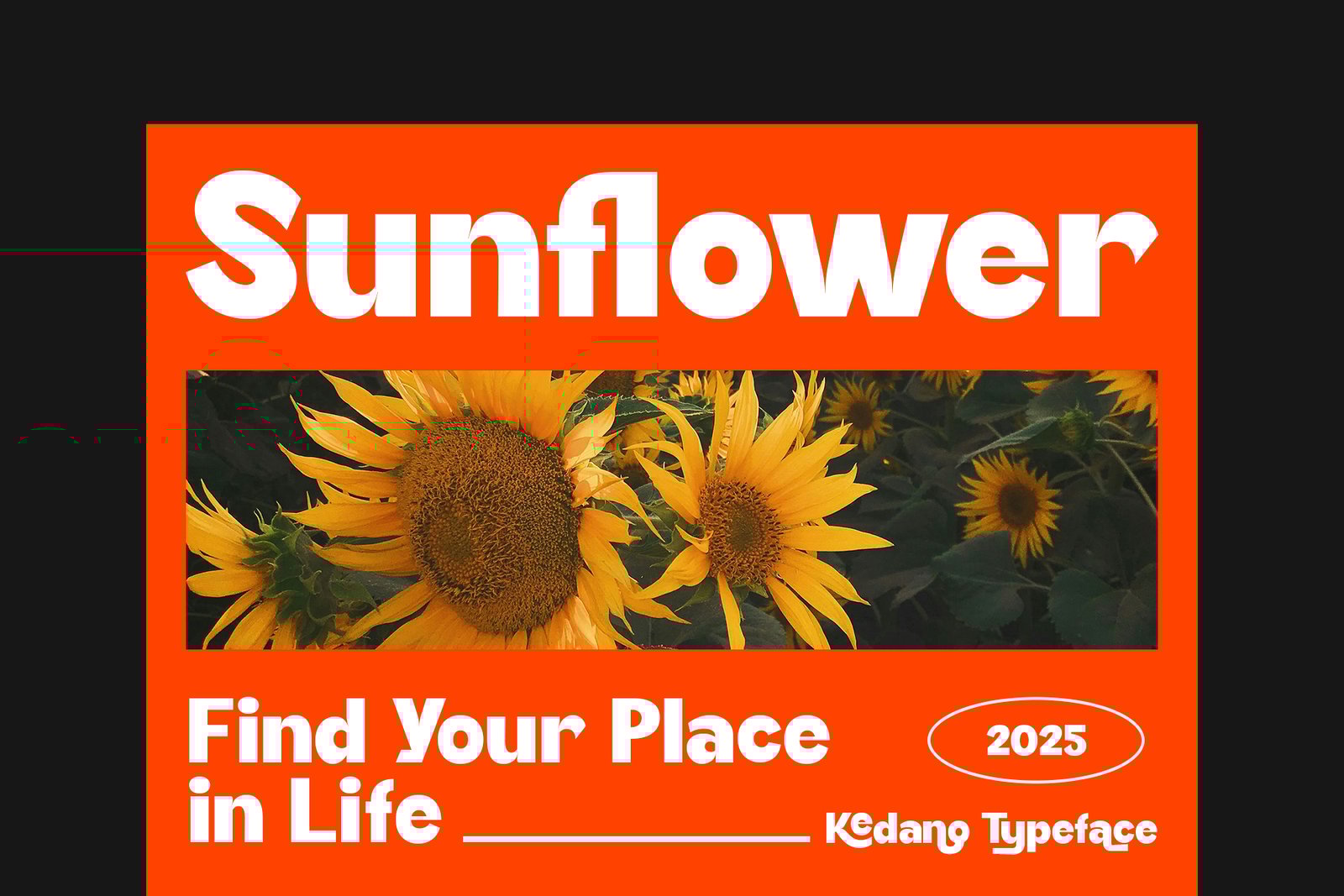 Kedano - Bold Display Font
