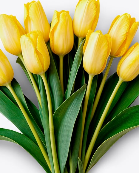 Tulip Bouquet With Hang Tag Mockup