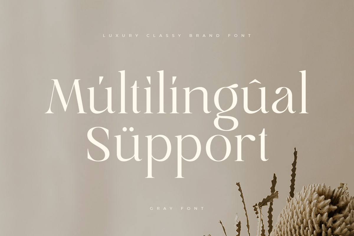 Gray - Luxury Classy Brand Font