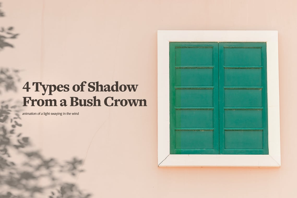 Plant Shadow Backdrops Video Bundle