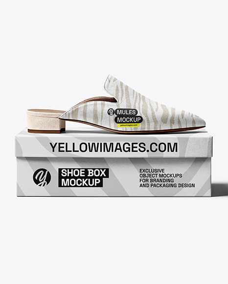Mule on Shoe Box Mockup - Gift box mockup