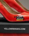 Pair of Pumps with Shoe Box Mockup