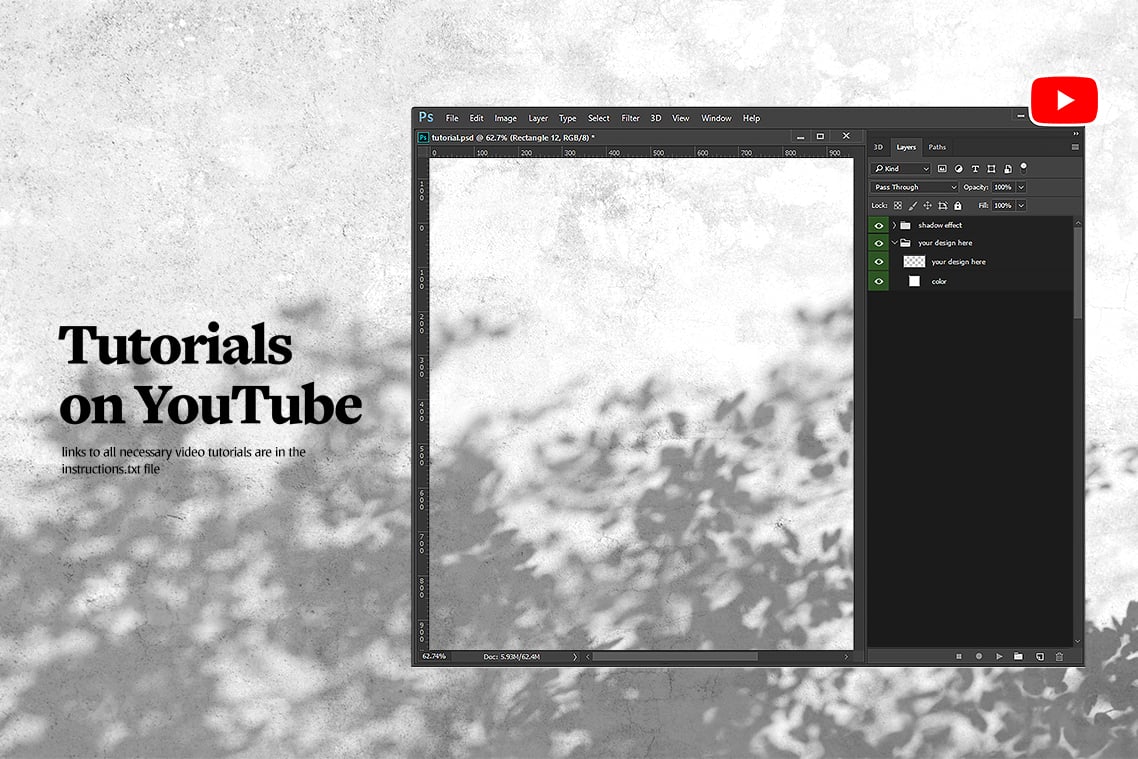 Plant Shadow Backdrops Video Bundle