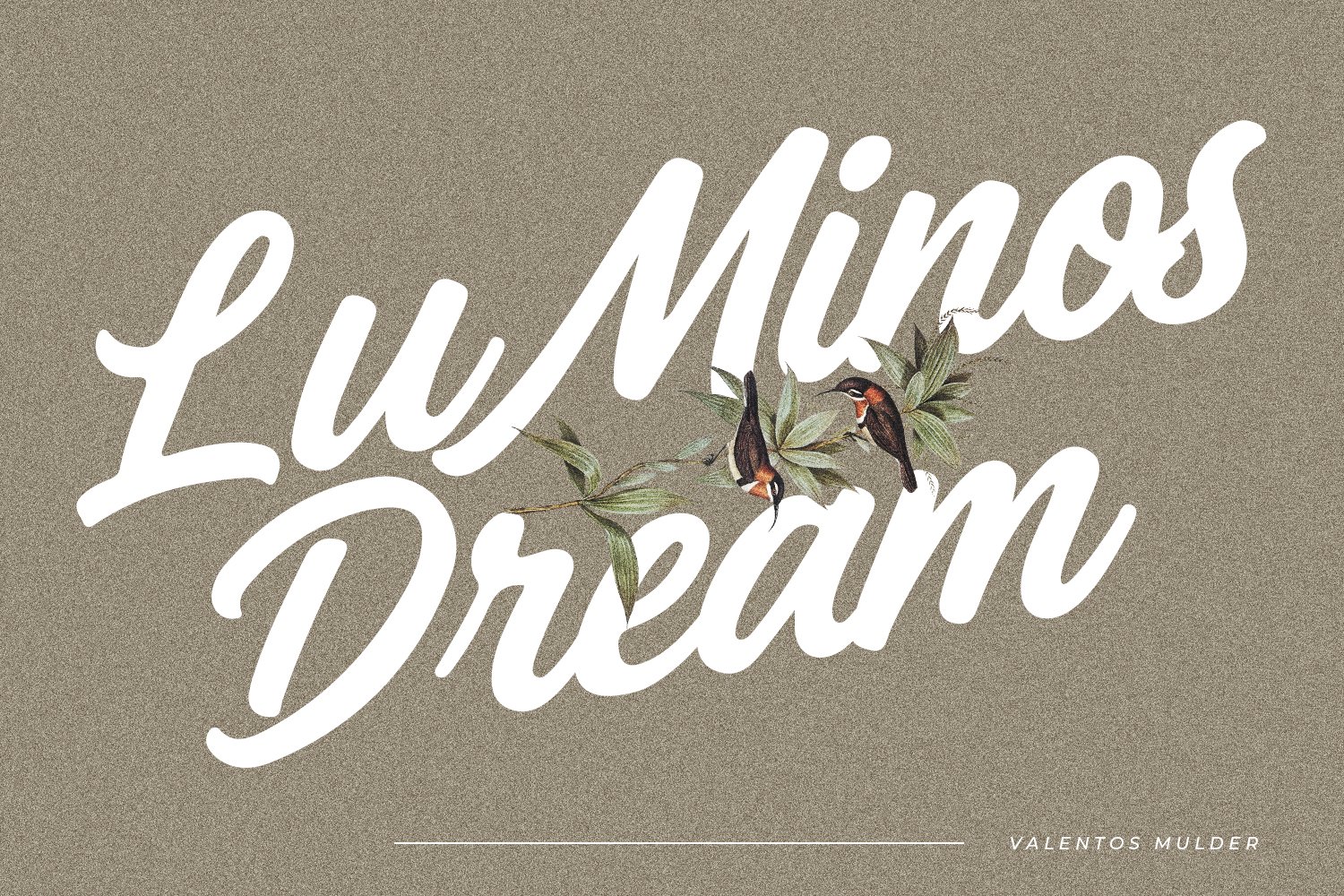 Valentos Mulder Elegant Bold Script Font