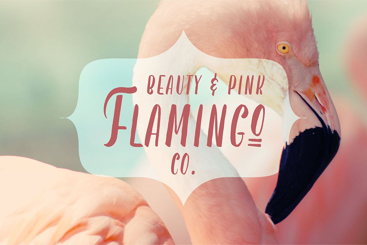Berryspickers Font