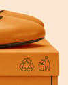 Pair of Leather Ballet Flats on Shoe Box Mockup