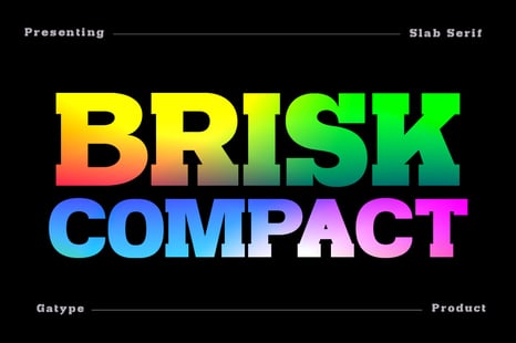 Brisk Compact Font - Creative Store