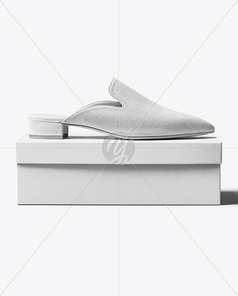 Mule on Shoe Box Mockup