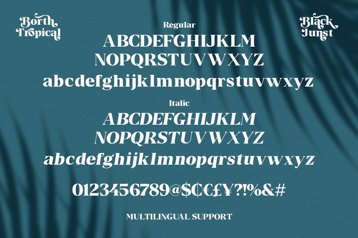 Borth Tropical - Serif Font