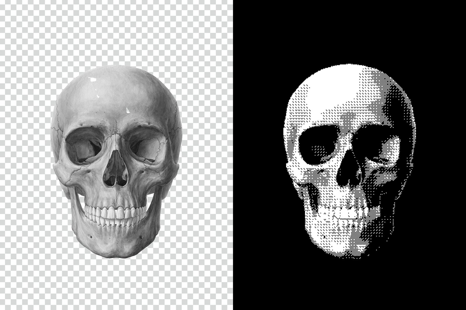 Dithering Bitmap Effect