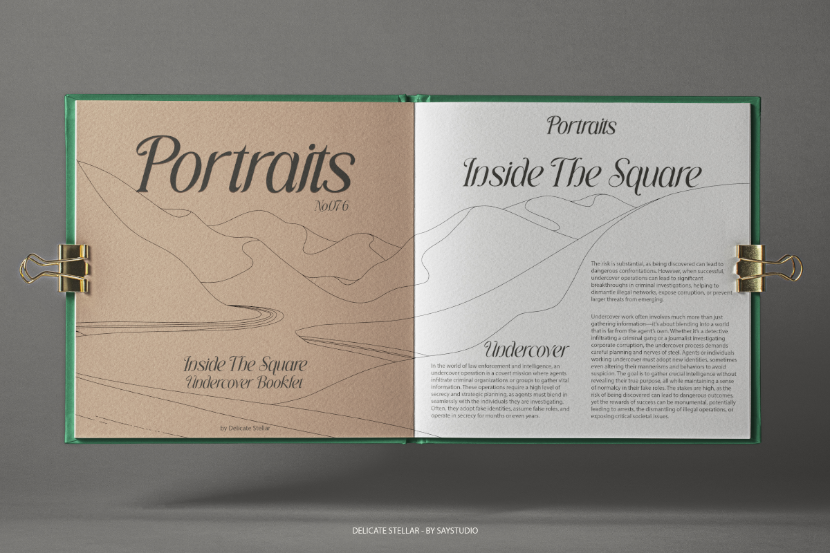 Delicate Stellar - Elegant Italic Font