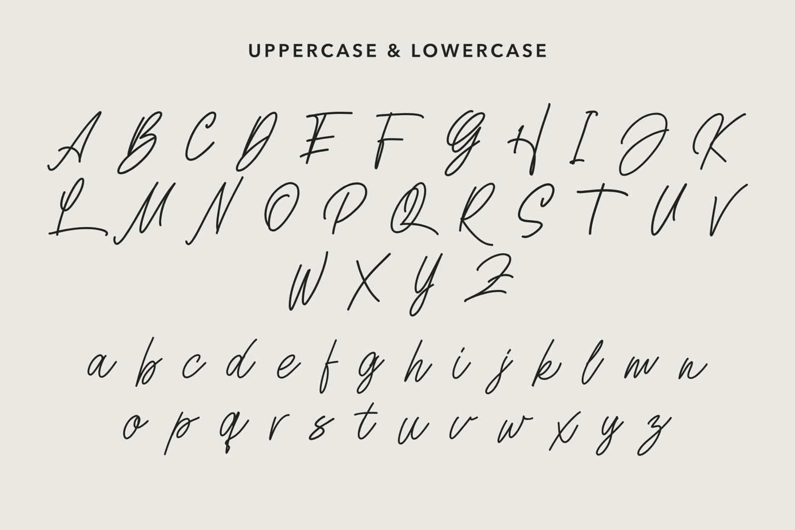 Bellinati – A Chic &amp; Feminine Script