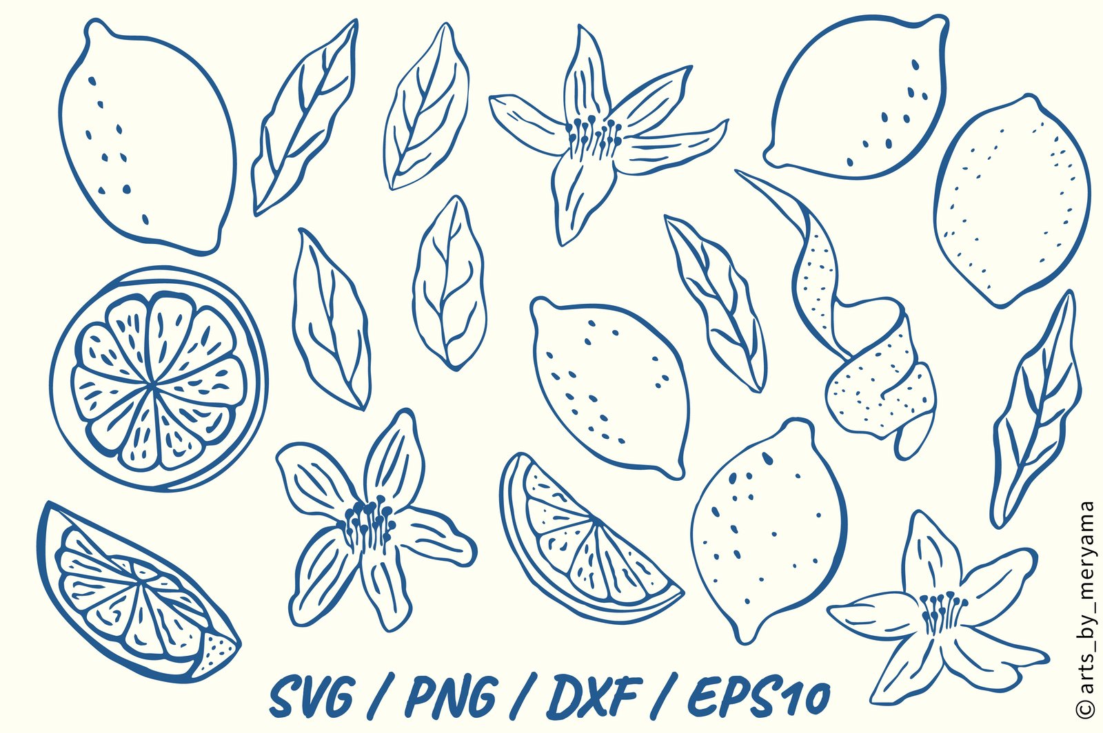 33 Hand Drawn Lemon Botanical Fruit