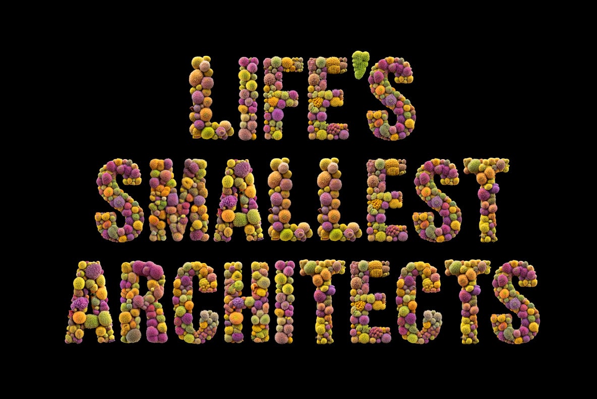 Microbiome Font