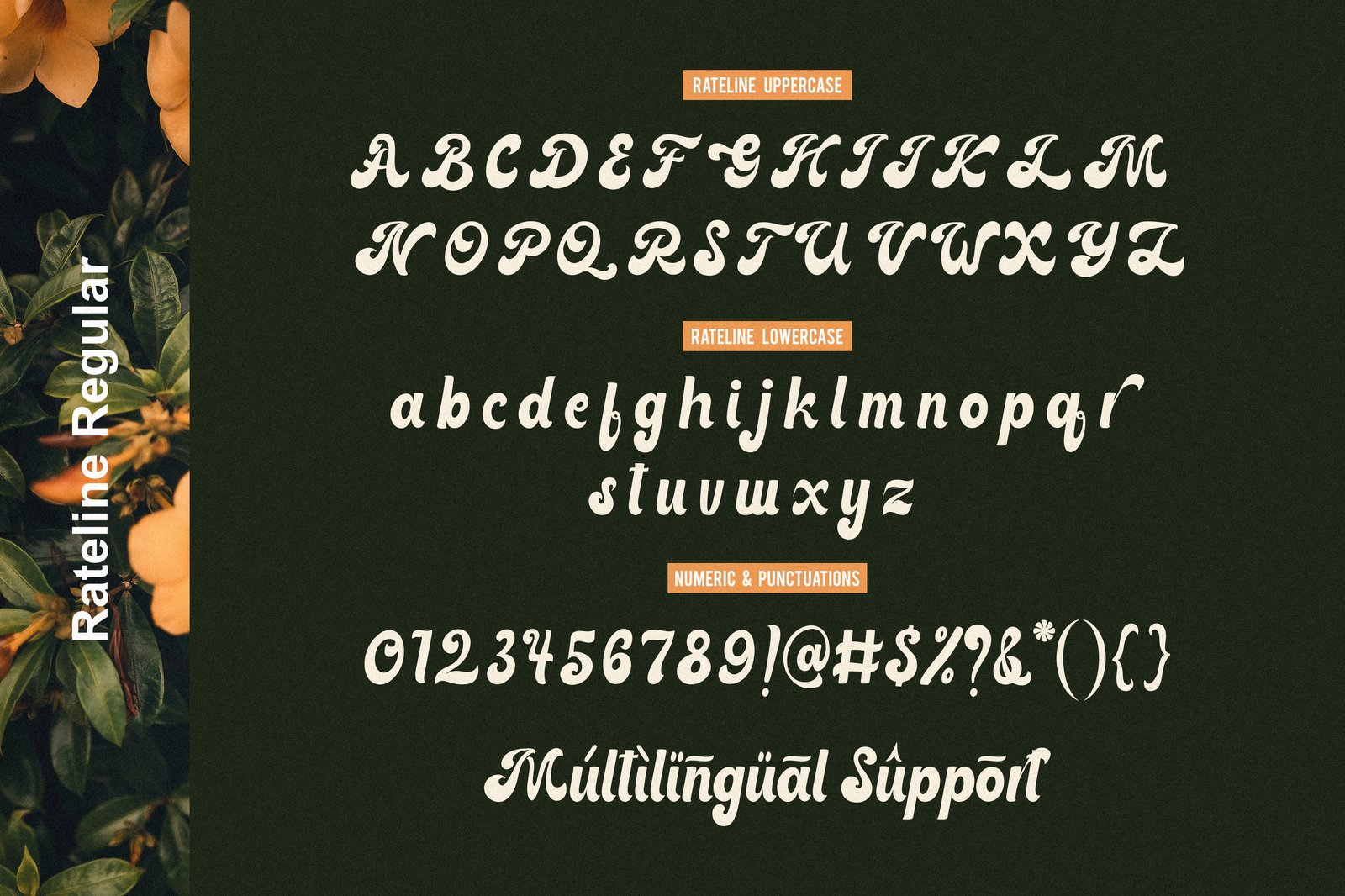 Rateline - Bold Vintage Font