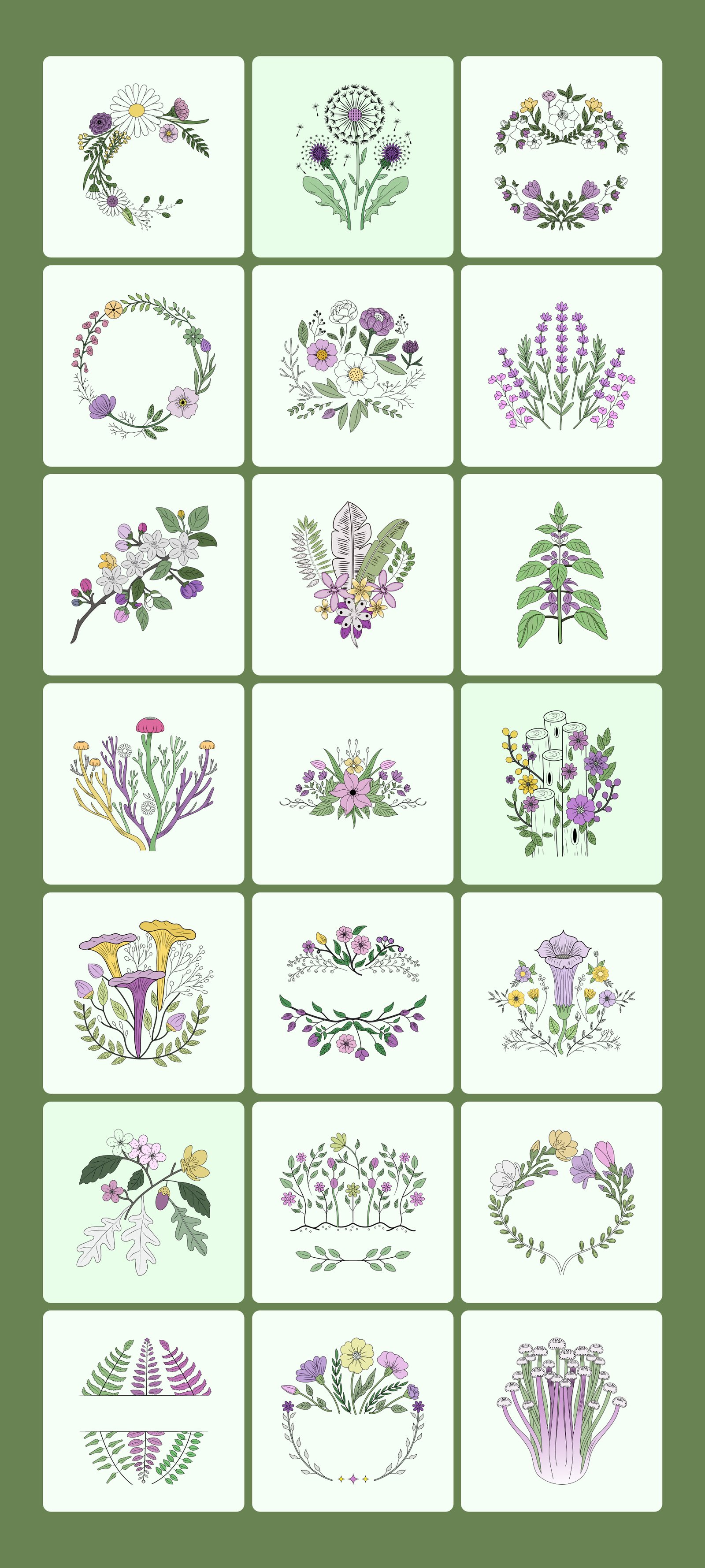 Vintage Nature Illustration Bundle