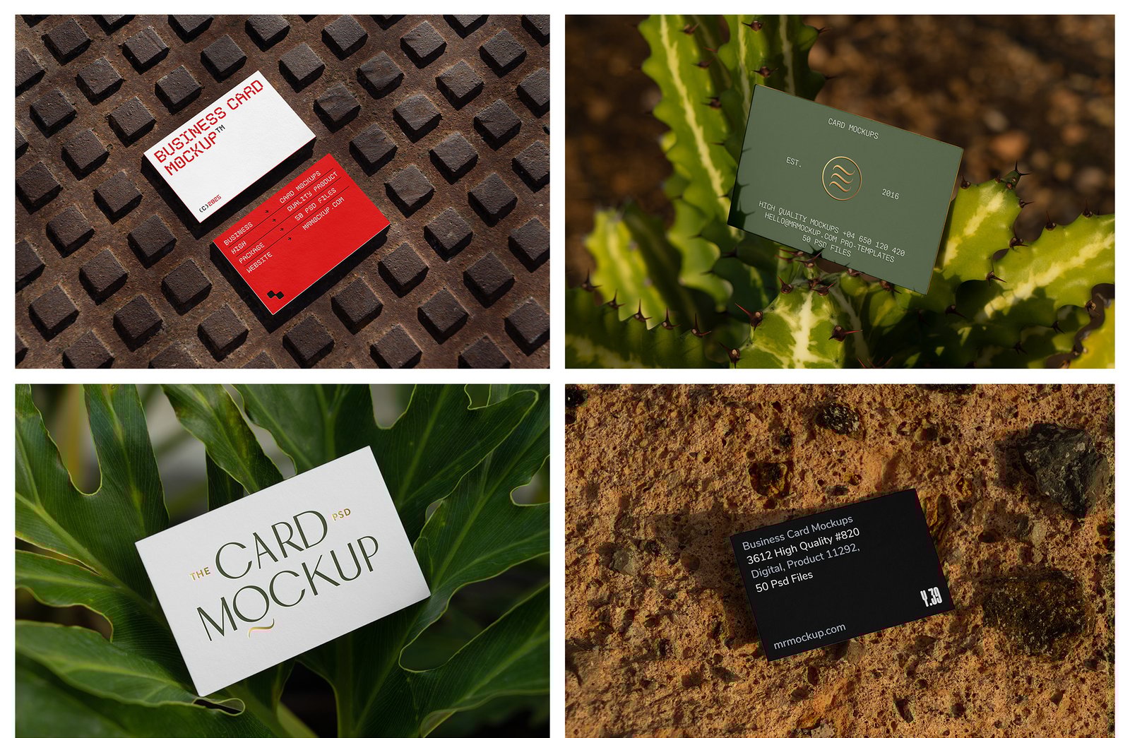 Outdoor Business Card Mockups