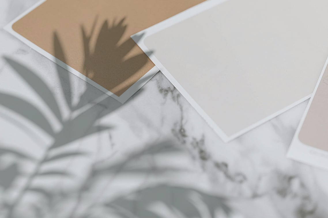 Plant Shadow Backdrops Video Bundle