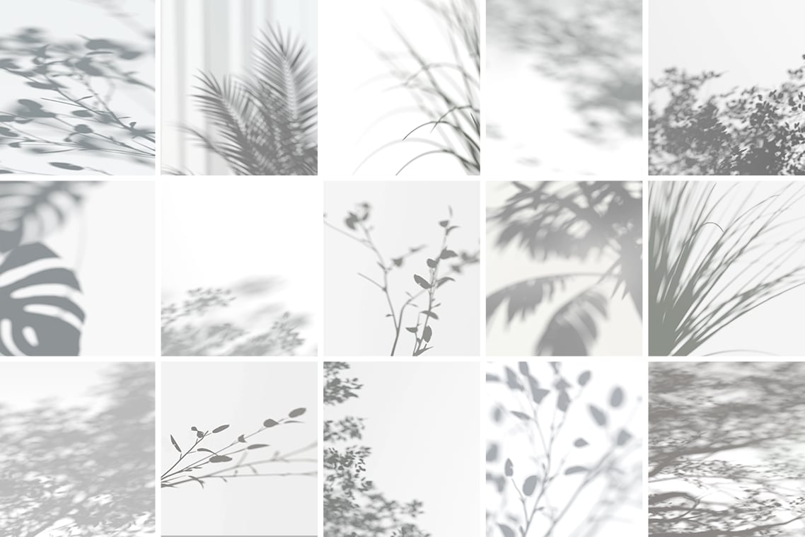 Plant Shadow Backdrops Video Bundle