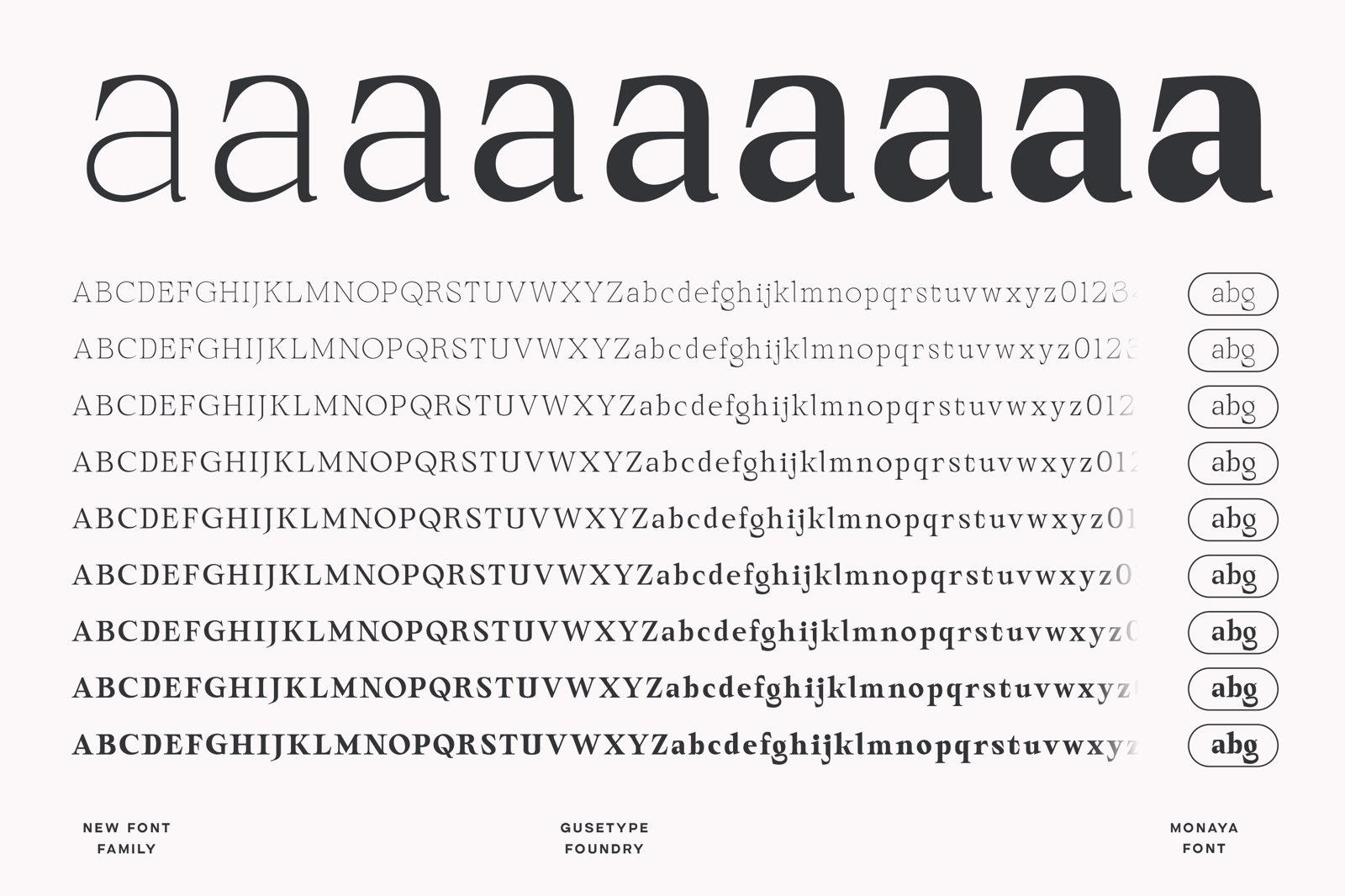 Monaya - Elegant Serif Font Family