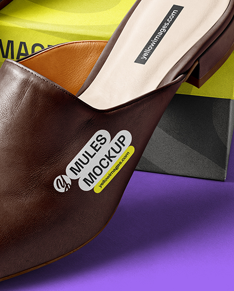 Pair of Mules with Shoe Box Mockup