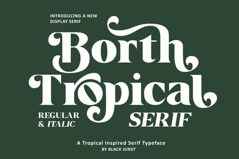 Borth Tropical - Serif Font - Fonts