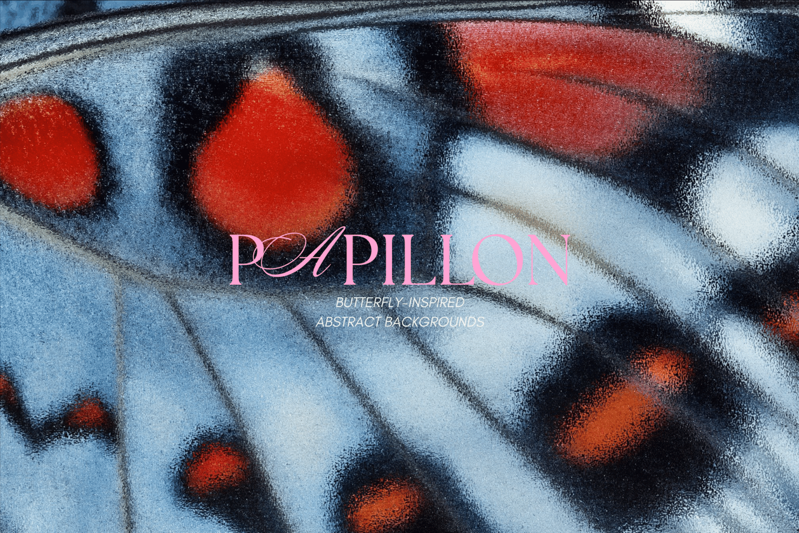 PAPILLON | Abstract Textures