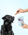Dog and Hand Holding Stand-Up Pouch Mockup