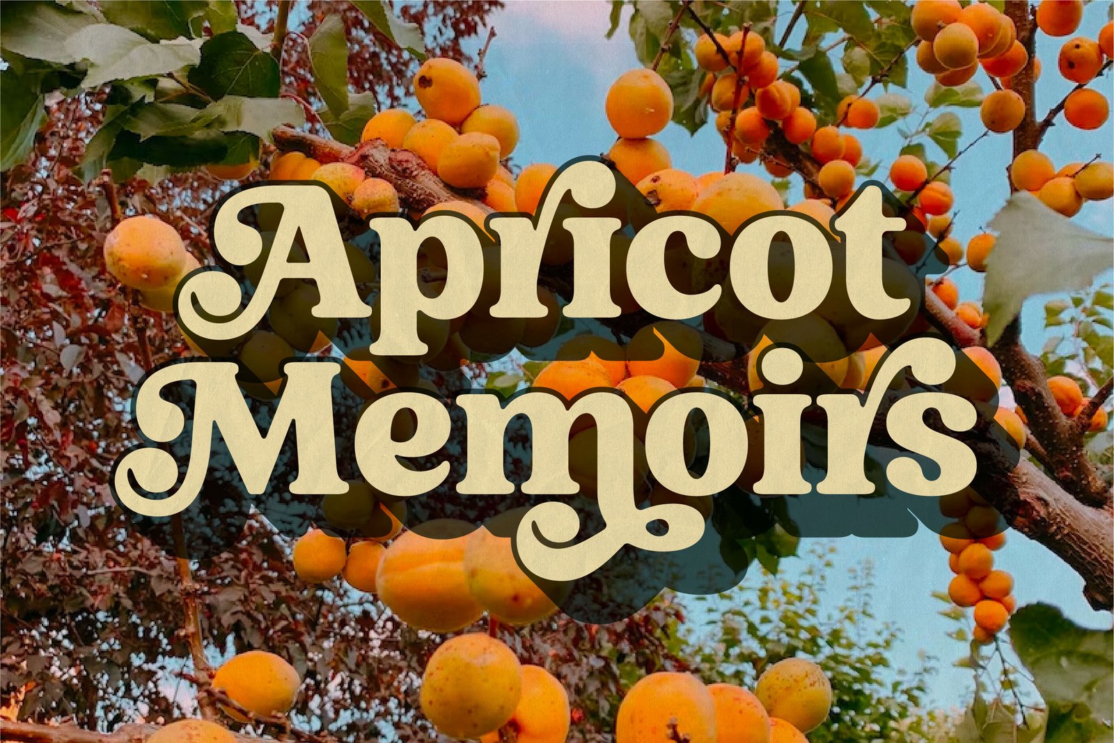 Milgraph Font
