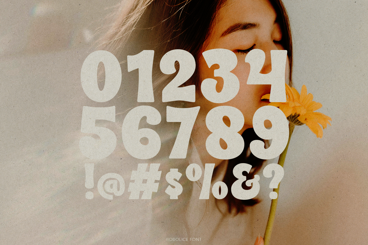 Bobolice - Retro Display Font