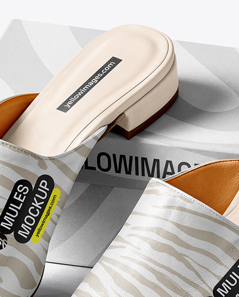 Pair of Mules with Shoe Box Mockup