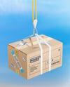 Cardboard Box with Lifting Slings Mockup