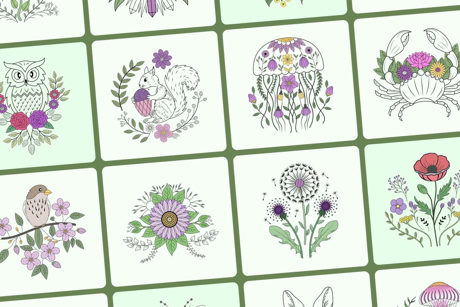 Vintage Nature Illustration Bundle