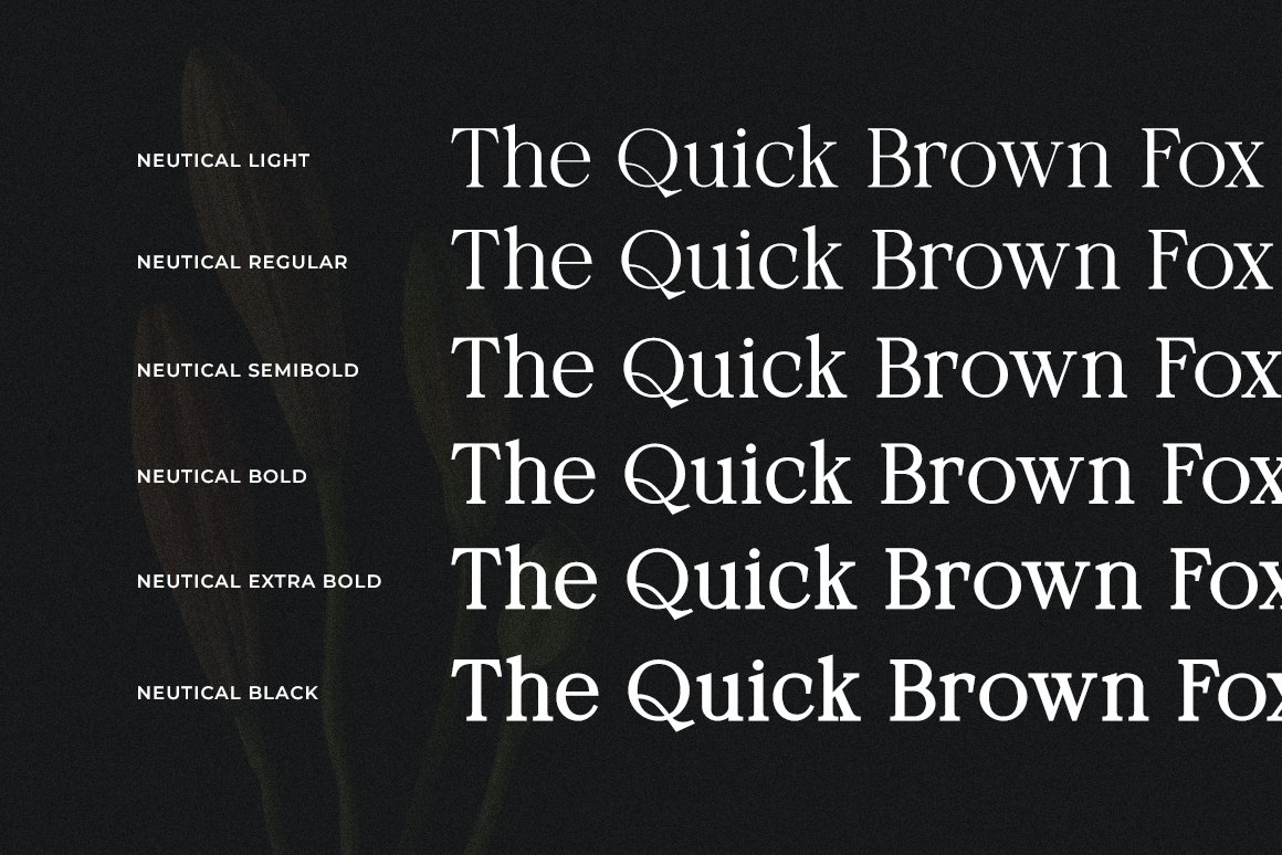 Neutical 6 Weight Serif Family