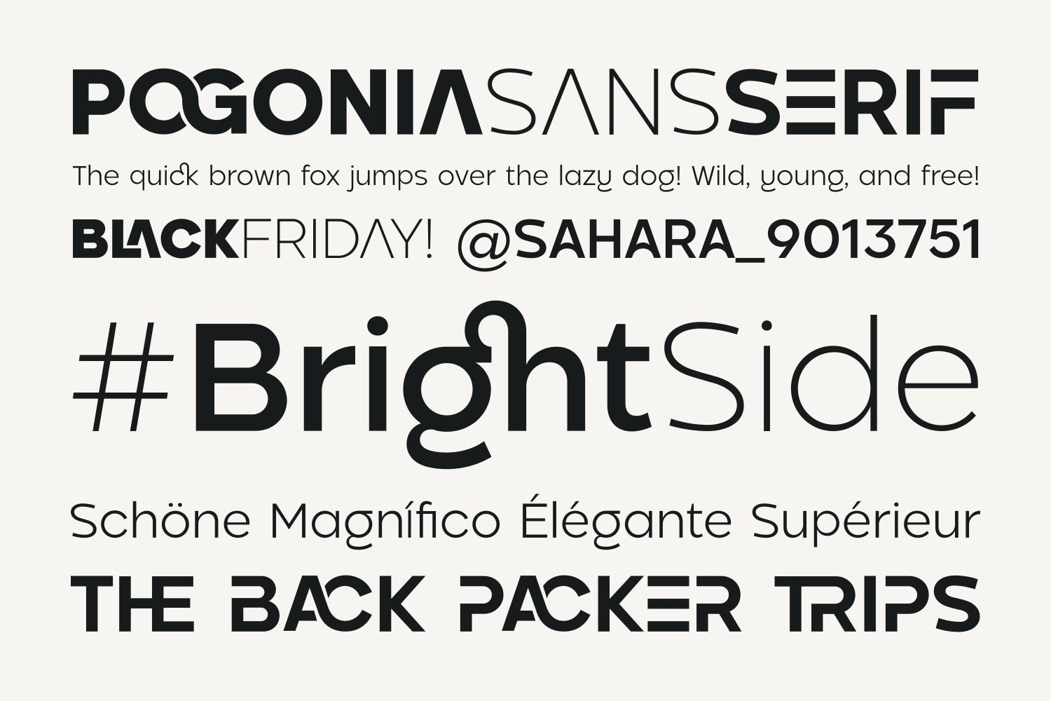 Pogonia - Modern Font Family