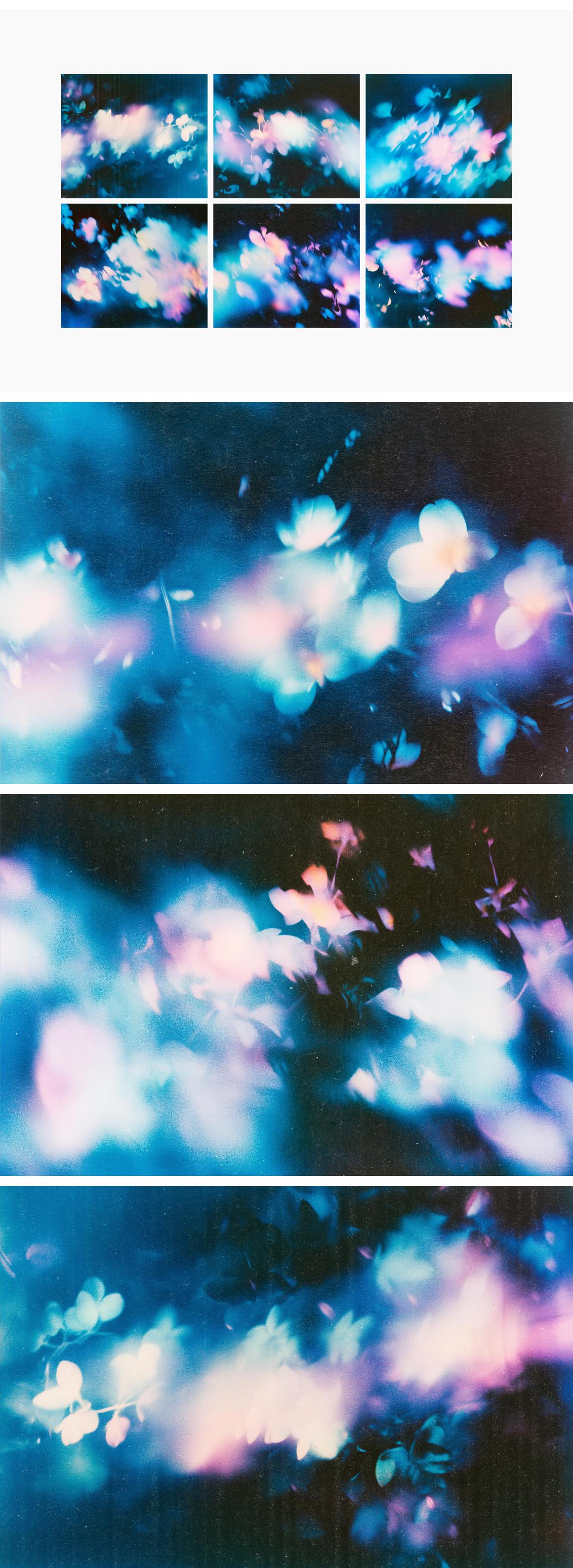 Abstract Floral Backgrounds