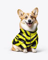 Corgi Wearing a Puffer Jacket Mockup