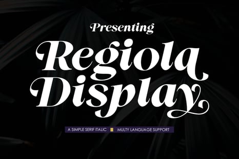 Regiola Display Font - Magazine font