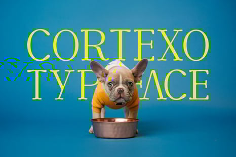 CORTEXO FONT