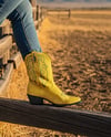 Cowboy Boots on Women's Legs Mockup