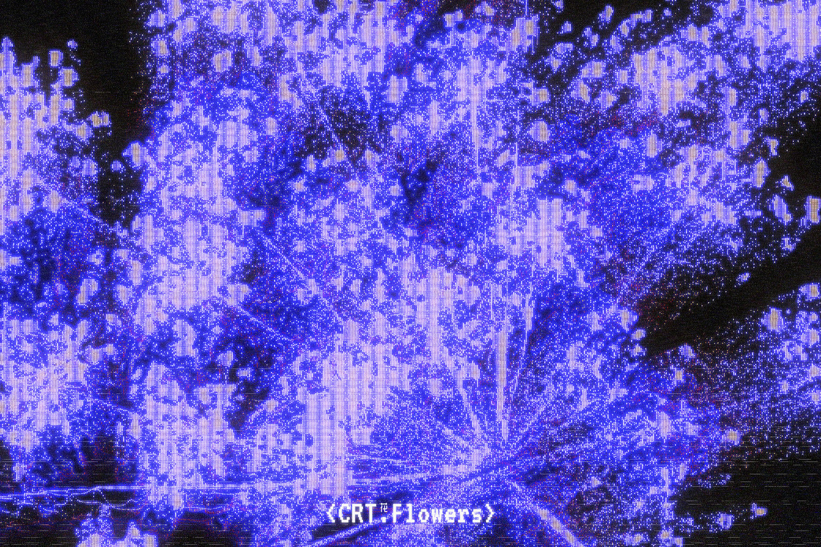 CRT Flowers