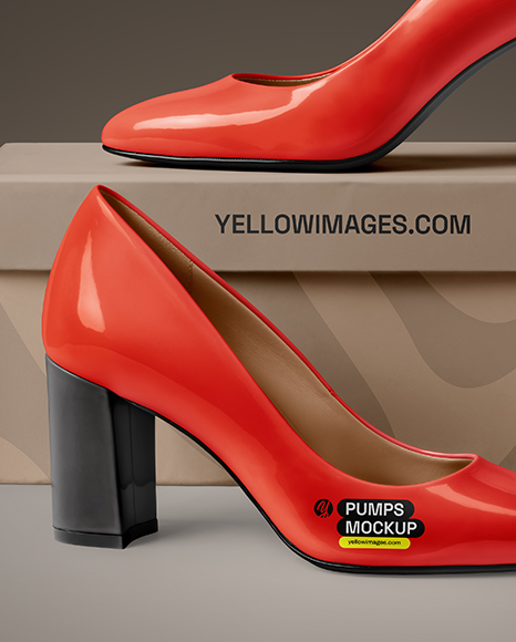 Block Heel Pumps with Shoe Box Mockup