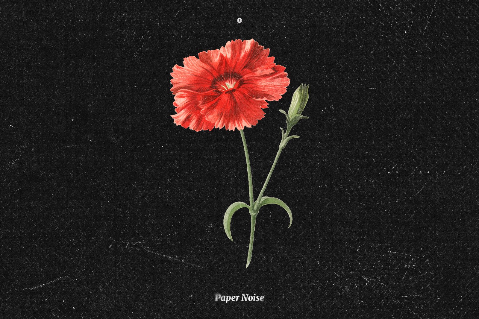 176 Paper Noise Overlays &amp; Textures