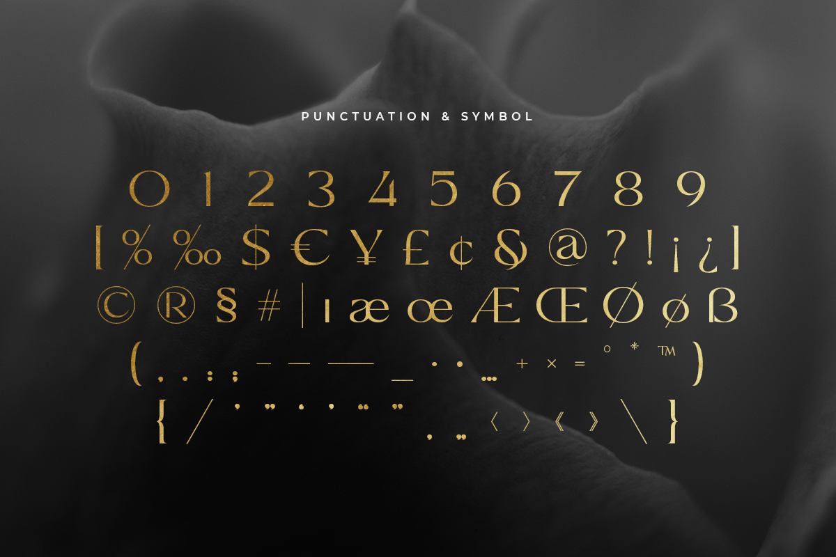 Top Luxury - Luxury Modern Classy Font