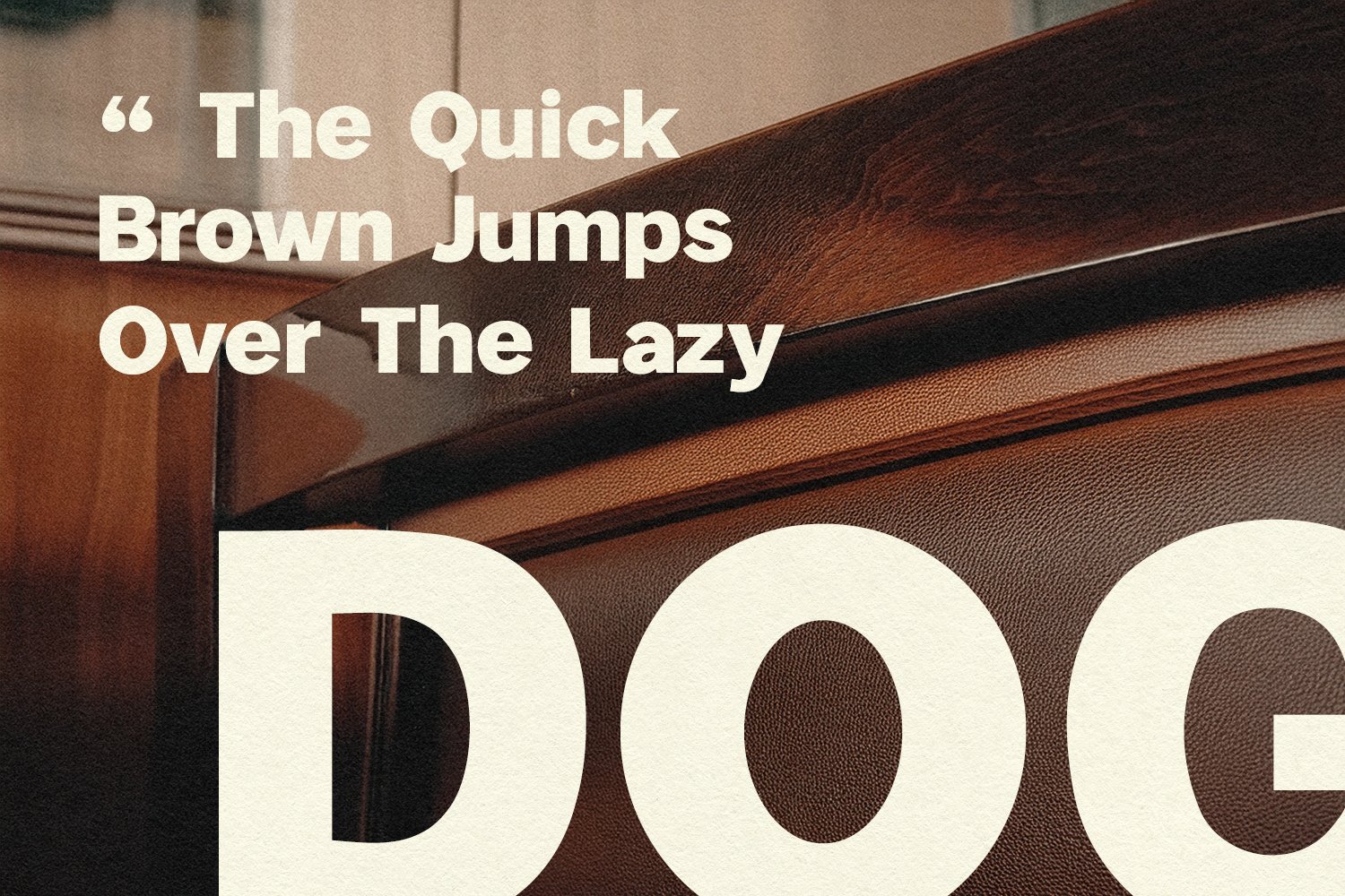 Galina Reany Bold Retro Display Font