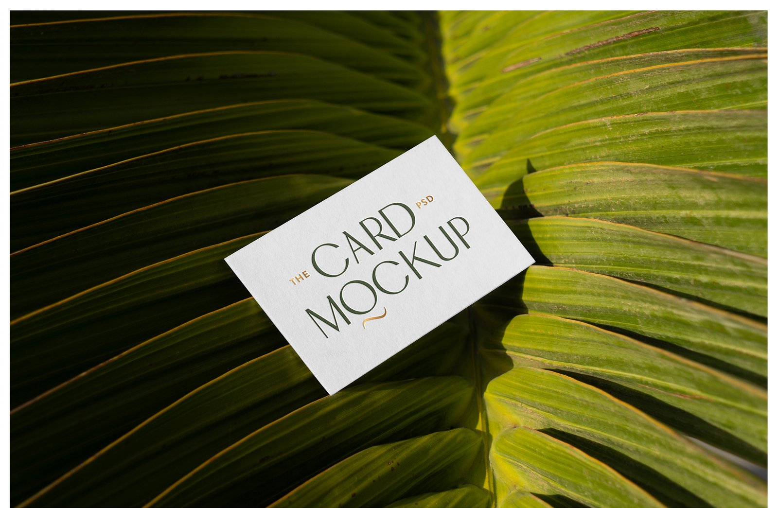 Outdoor Business Card Mockups