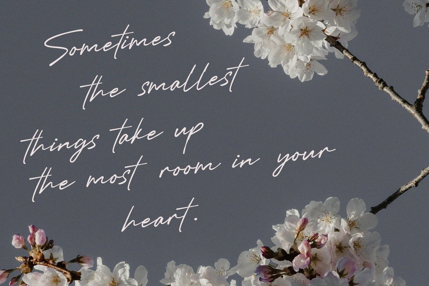 Mustineos Kedisyom Chic Feminine Script Font