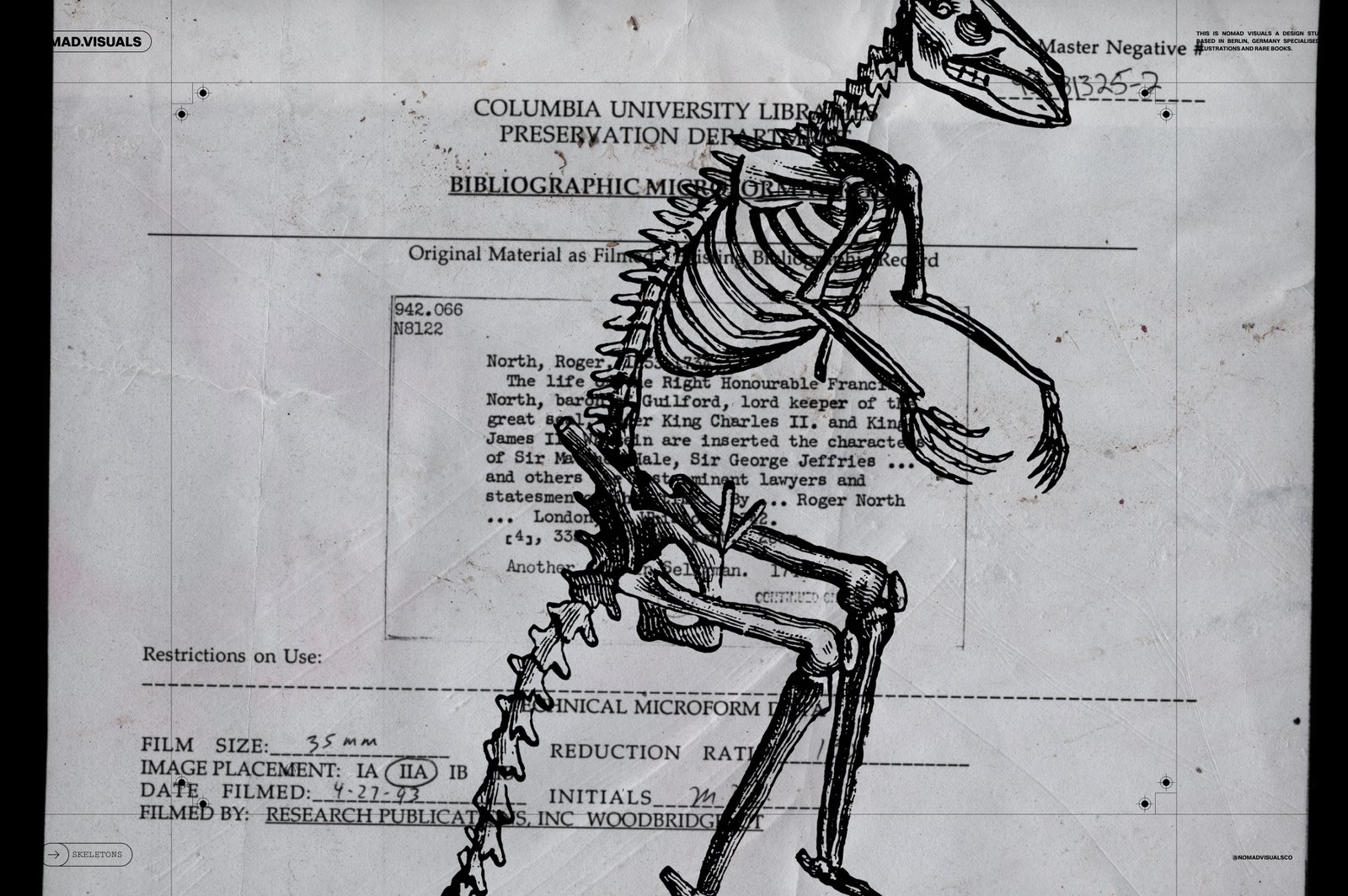 Skeletons &amp; Bones – 30 Antique Illustrations